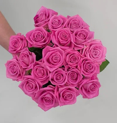 Розовые розы 50 см. 21 шт.
