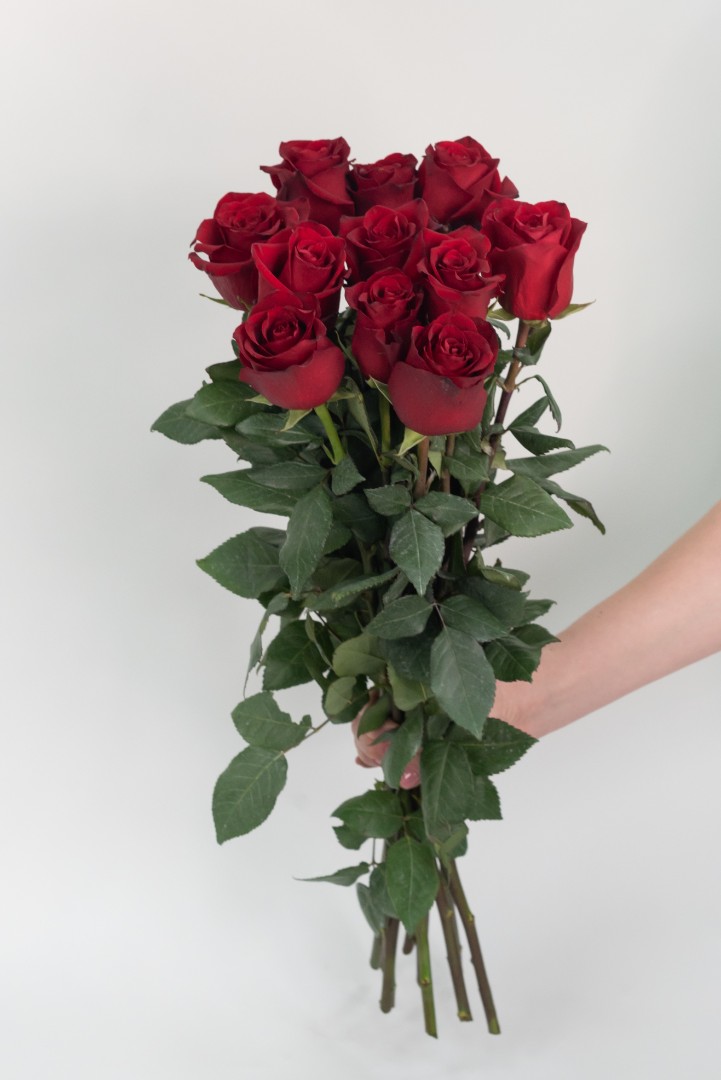 11 красных роз 60 см